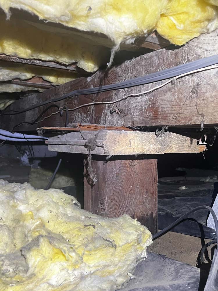 cs_crawlspace_1 → Chumley Structural & Foundation Repair